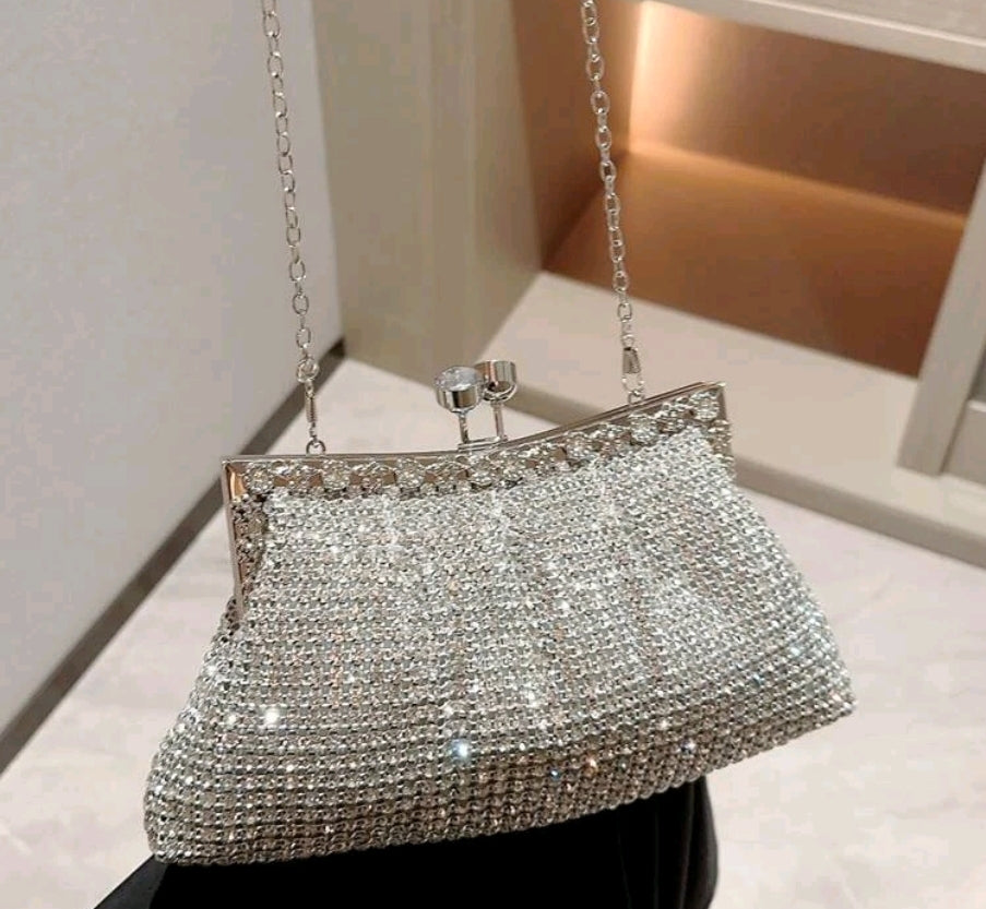 Dazzling silver purse